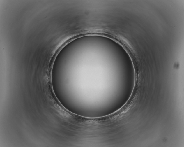 X0000091561212200708171319