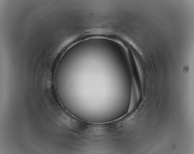 X0000091561213200708171319