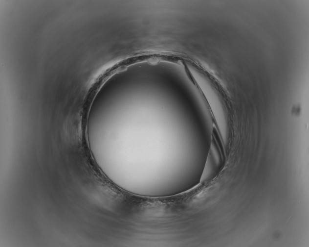 X0000091561214200708171319