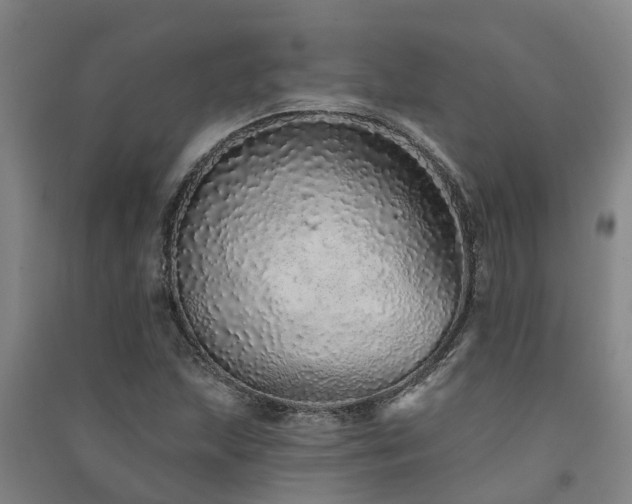 X0000091561215200708171319