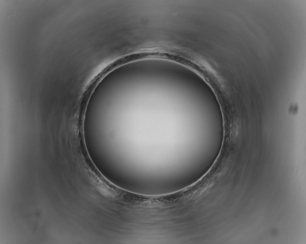 X0000091561216200708171319