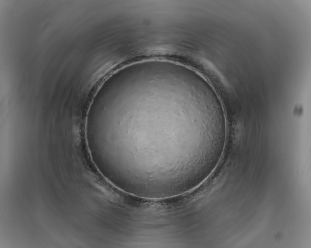 X0000091561217200708171319