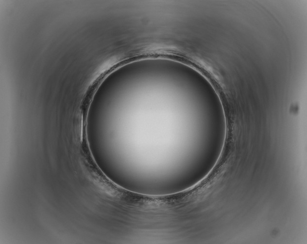 X0000091561219200708171319