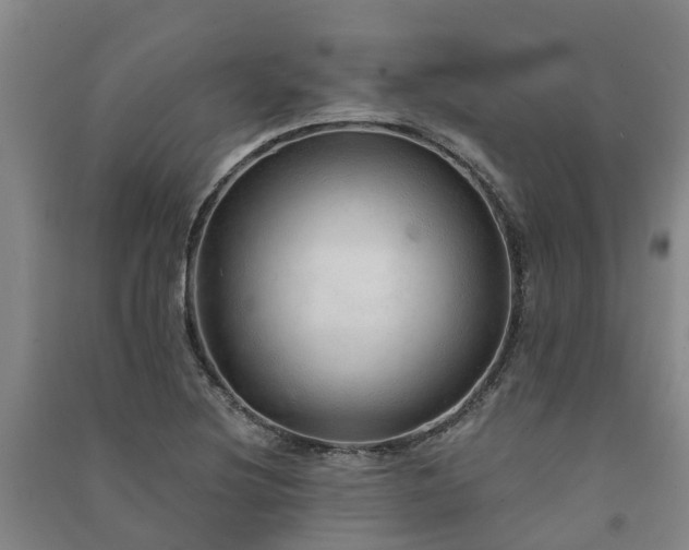 X0000091561220200708171319