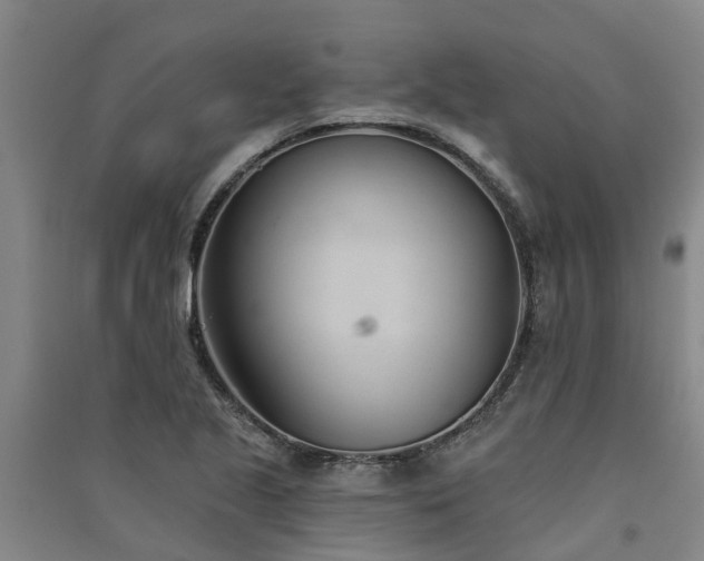 X0000091561221200708171319