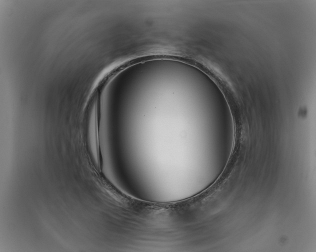 X0000091561222200708171319