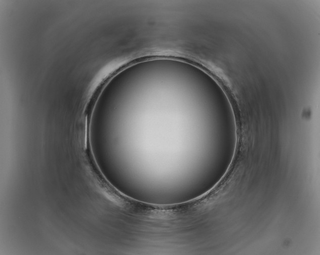 X0000091561223200708171319