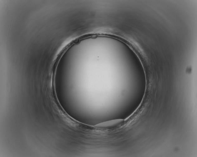 X0000091561224200708171319