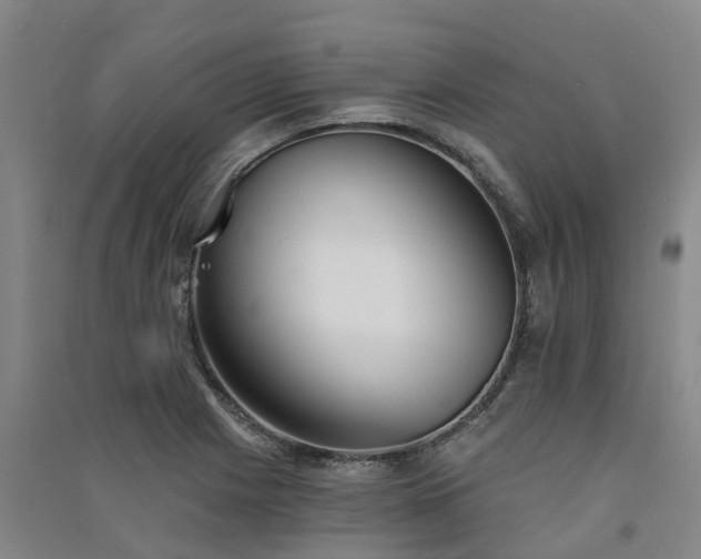 X0000091561225200708171319