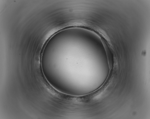 X0000091561226200708171319