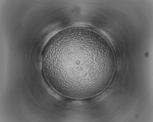 X0000091561227200708171319