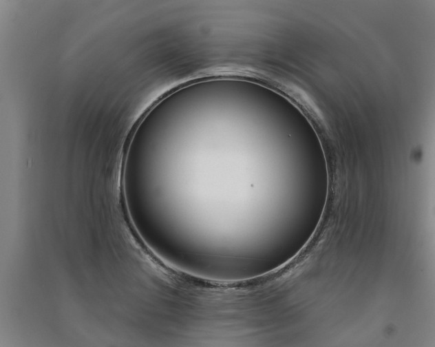 X0000091561228200708171319