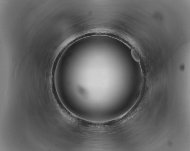 X0000091561229200708171319