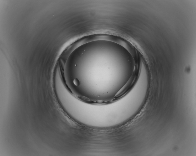 X0000091561230200708171319