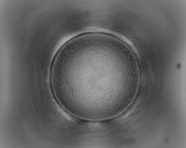 X0000091561231200708171319