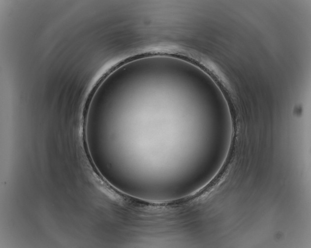 X0000091561232200708171319