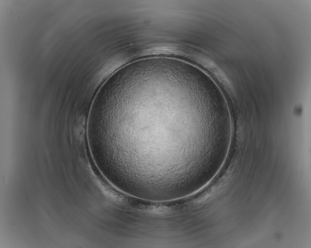 X0000091561233200708171319