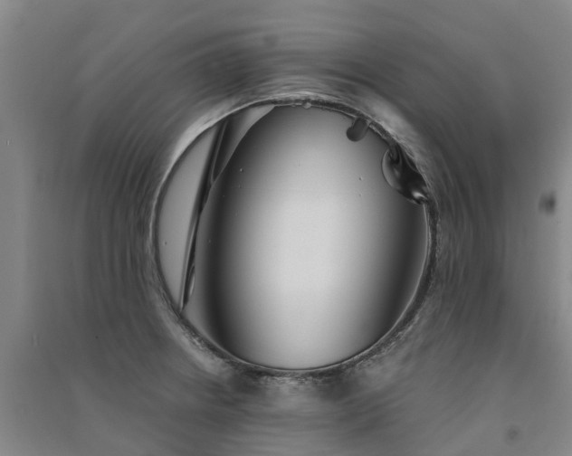 X0000091561234200708171319