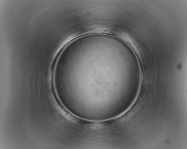 X0000091561235200708171319