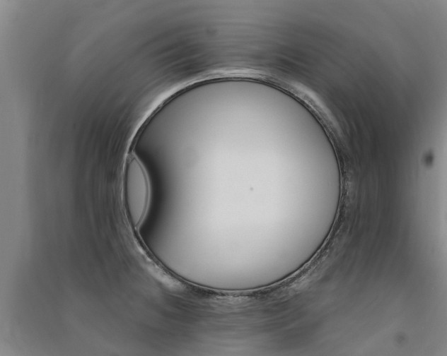 X0000091561236200708171319