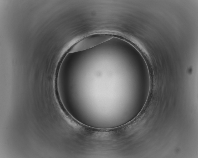 X0000091561237200708171319