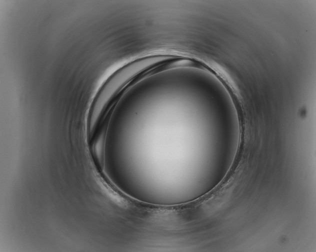 X0000091561238200708171319