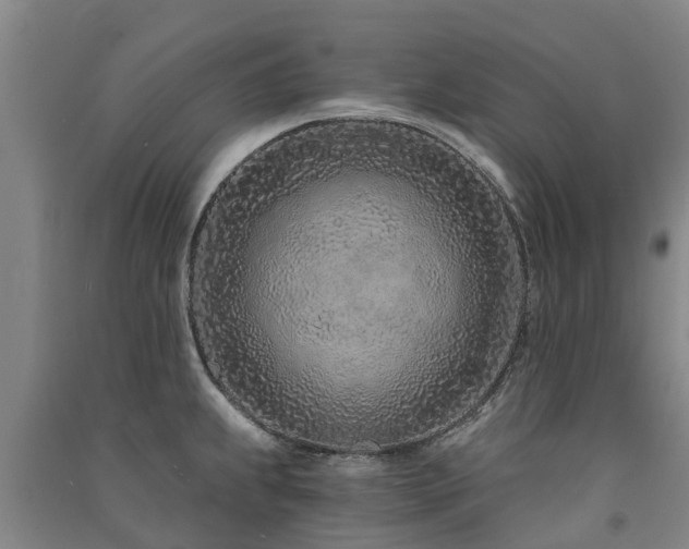 X0000091561239200708171319