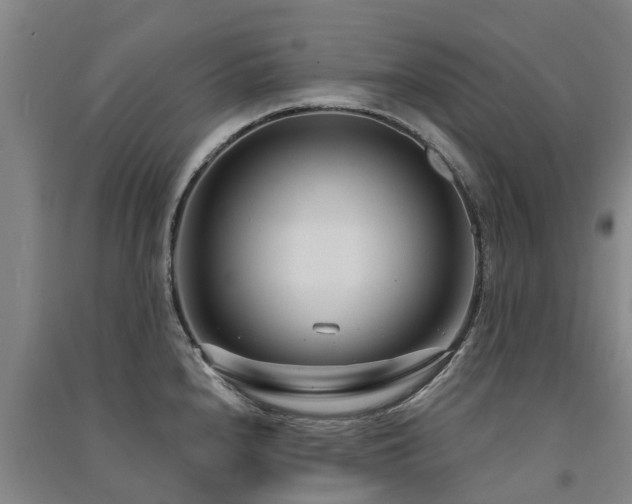 X0000091561240200708171319