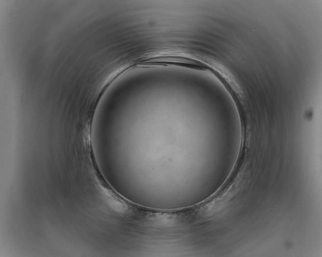 X0000091561241200708171319