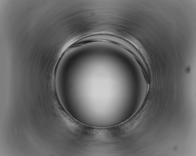 X0000091561242200708171319