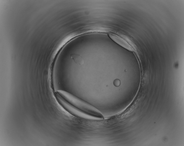 X0000091561243200708171319