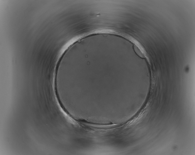 X0000091561245200708171319