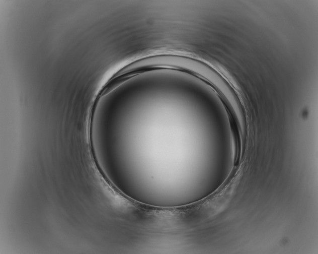 X0000091561246200708171319