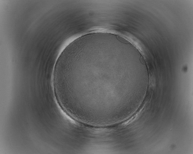 X0000091561247200708171319