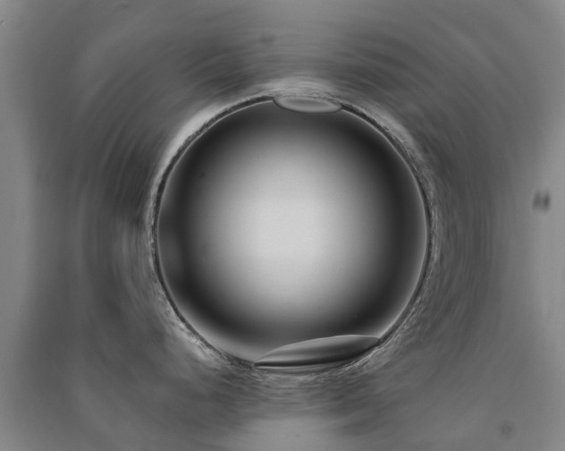 X0000091561248200708171319