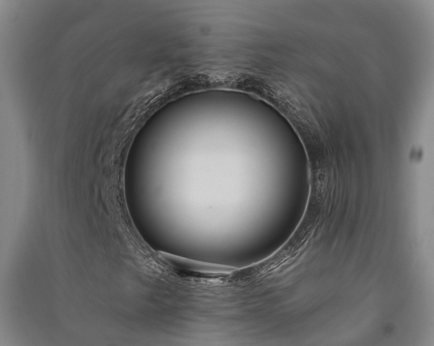 X0000091561249200708171318