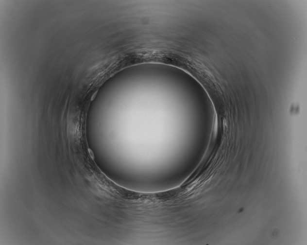 X0000091561250200708171318