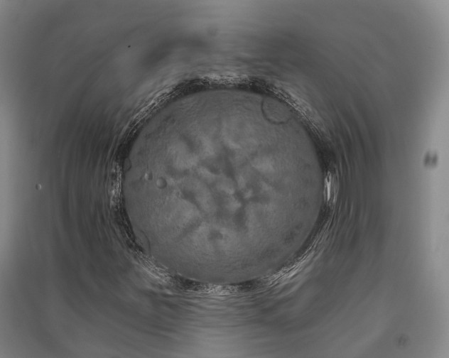 X0000091561251200708171318