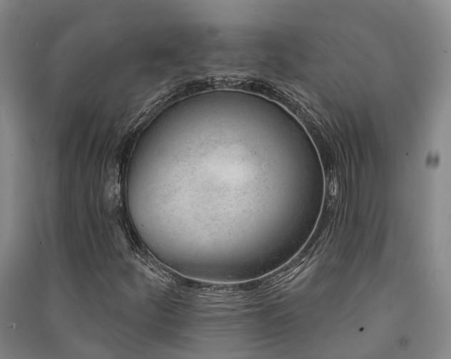 X0000091561252200708171318