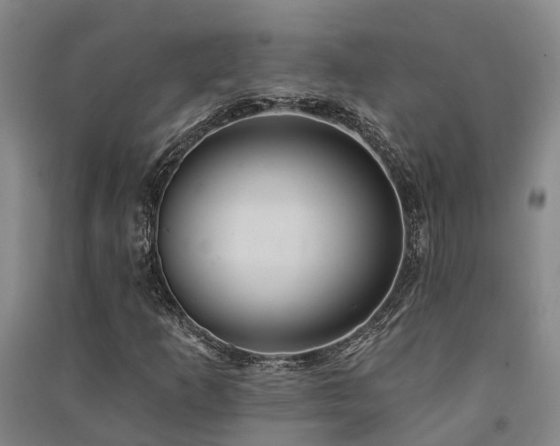 X0000091561253200708171318