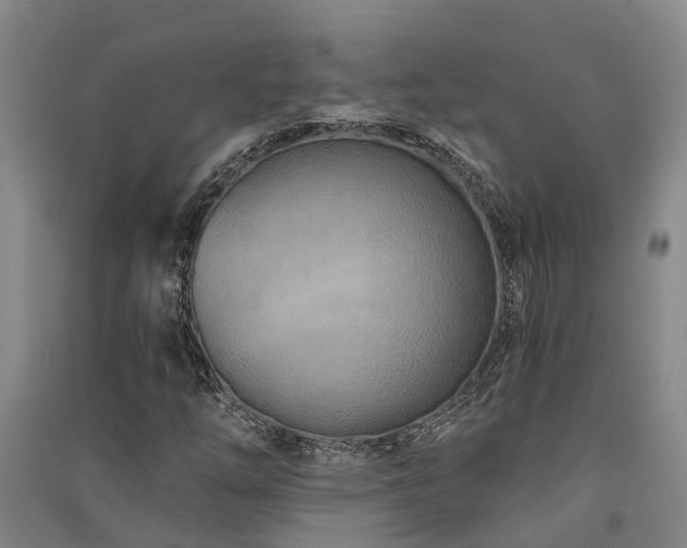 X0000091561254200708171318