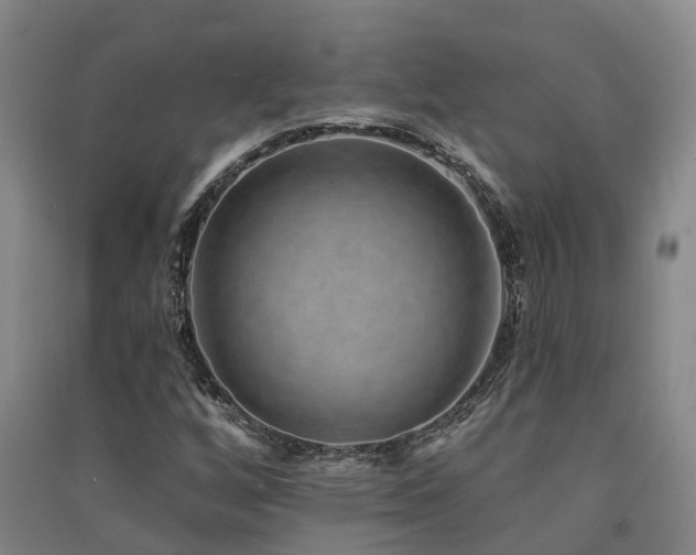 X0000091561256200708171318