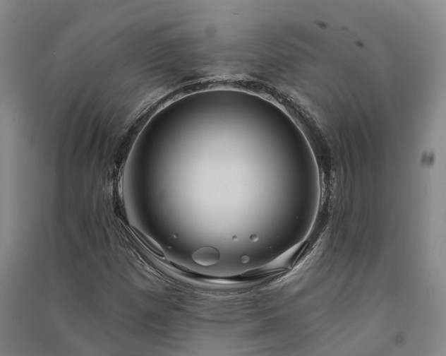 X0000091561257200708171318