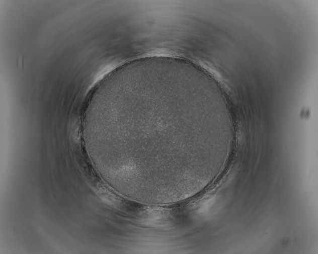 X0000091561258200708171318