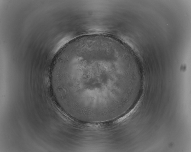 X0000091561259200708171318