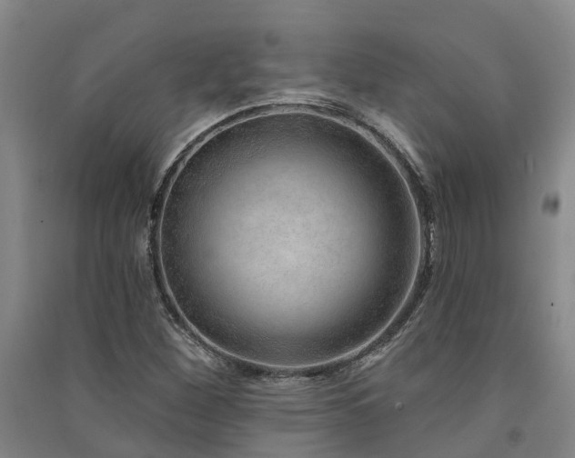 X0000091561260200708171318