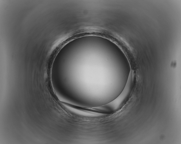 X0000091561261200708171318