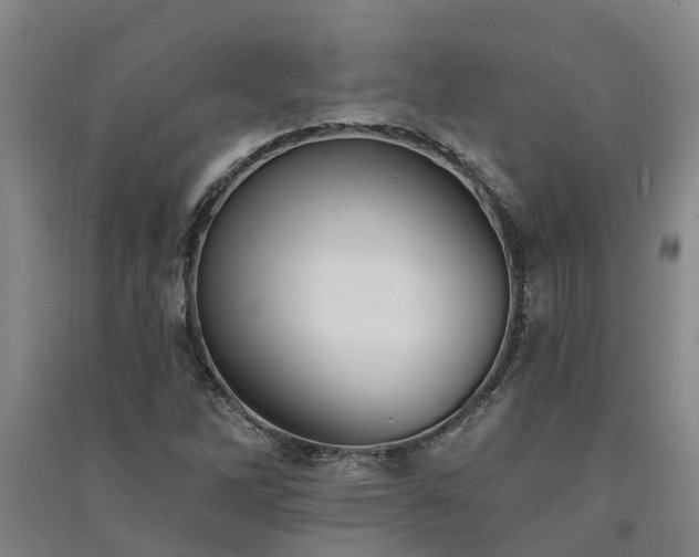 X0000091561262200708171318