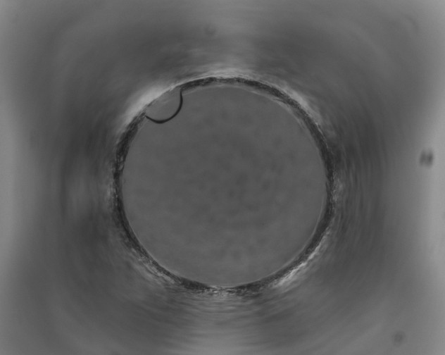 X0000091561263200708171318