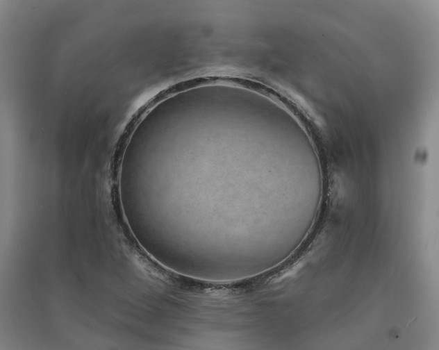 X0000091561264200708171318